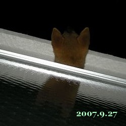 2007/9/27_2