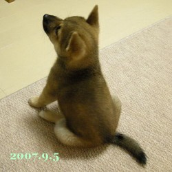 2007/9/5_1
