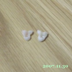 2007/11/30_1