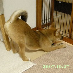 2007/10/27_1