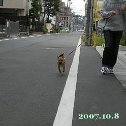 2007/10/8_2