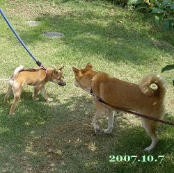 2007/10/7_1