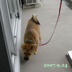 2007/9/24_1
