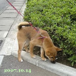 2007/10/15_2