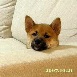 2007/10/22_!
