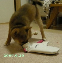 20070920_2