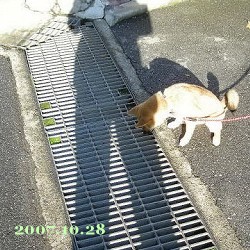 2007/10/29_1