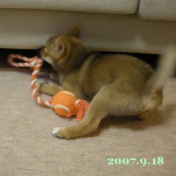 2007/9/18_1
