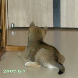 2007/9/7_1