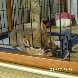 2007/9/9_1