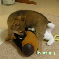 2007/9/4_1