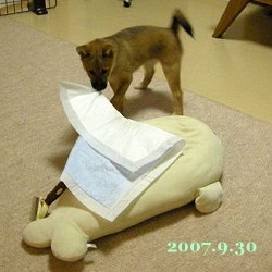 2007/9/30_1