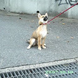 2007/10/10_2