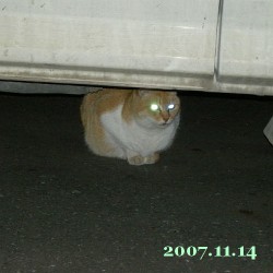 2007/11/14_1