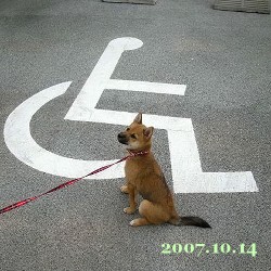 2007/10/16_1