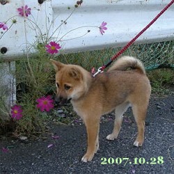 2007/10/28_1