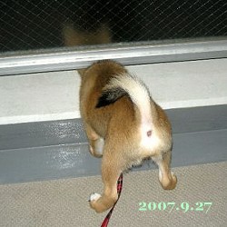 2007/9/27_1