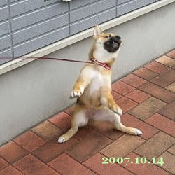 2007/10/16_2