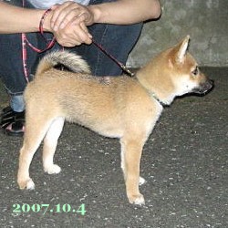 2007/10/4_2