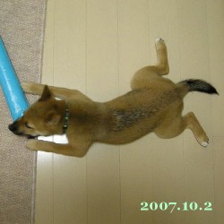 2007/10/5_1