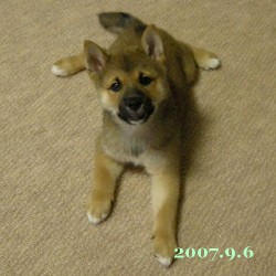 2007/9/6_1