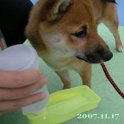 2007/11/18_2