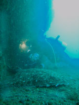 50bd538f.JPG