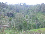 5702f248.jpg
