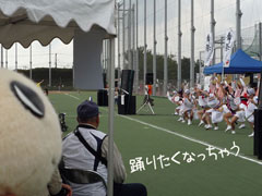 12半阿波踊り遠景