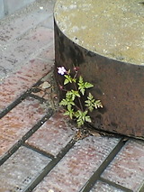 f43026d5.jpg