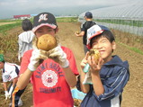 SANY0328