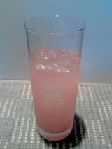 P2008_0404_230526