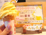 �p�C�i�b�v���\�t�g