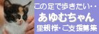 ���������Τ���罸