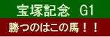 夏競馬データ特集