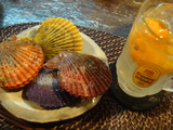 緋扇貝