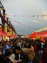 138c8457.jpg