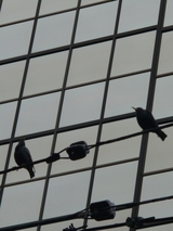 444f673e.jpg