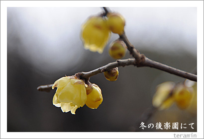 �ߤθ�ڱࡡ�����Х�