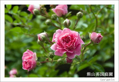熊山英国庭園1