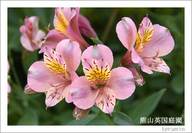 熊山英国庭園3