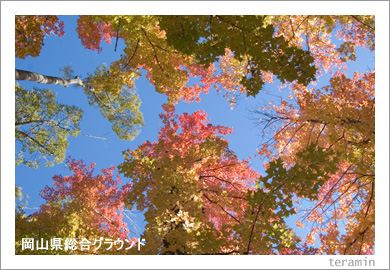 ���������祰�饦��ɤι���3
