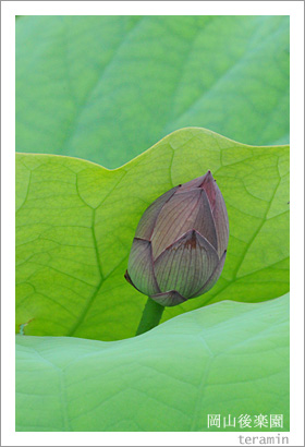 ������ڱ��ϡ4