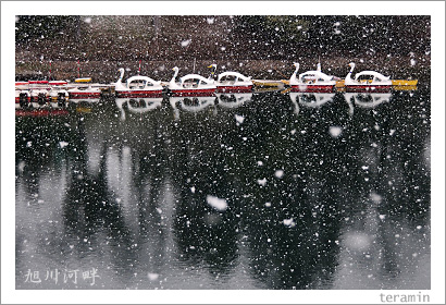 雪の日の旭川河畔