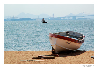 渋川海岸2