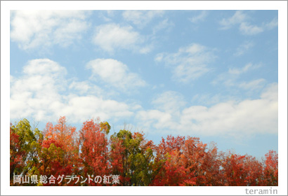 ���������祰�饦��ɤι���3
