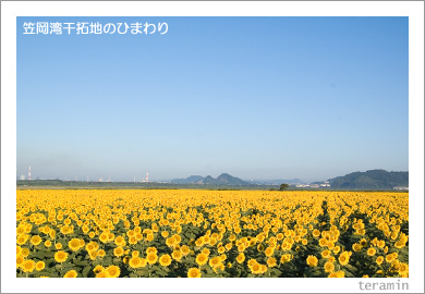 �޲��Ѵ����ϤΤҤޤ��1