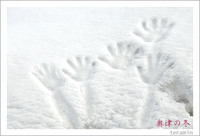 奥津の冬4