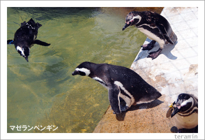 �ޥ����ڥ󥮥�2