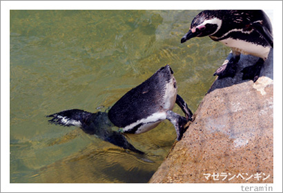 �ޥ����ڥ󥮥�3